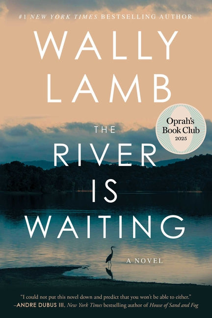The River Is Waiting (Oprah's Book Club) S&s/ Marysue Rucci Books